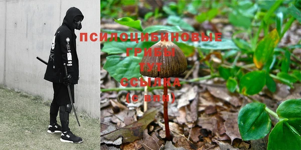 мяу мяу мука Алексин