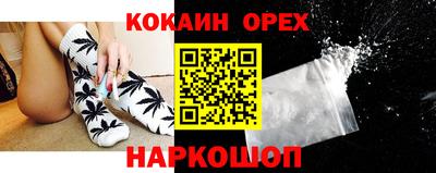 крисы Обь