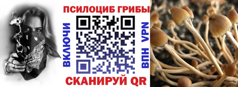 Псилоцибиновые грибы MAGIC MUSHROOMS  Ступино 