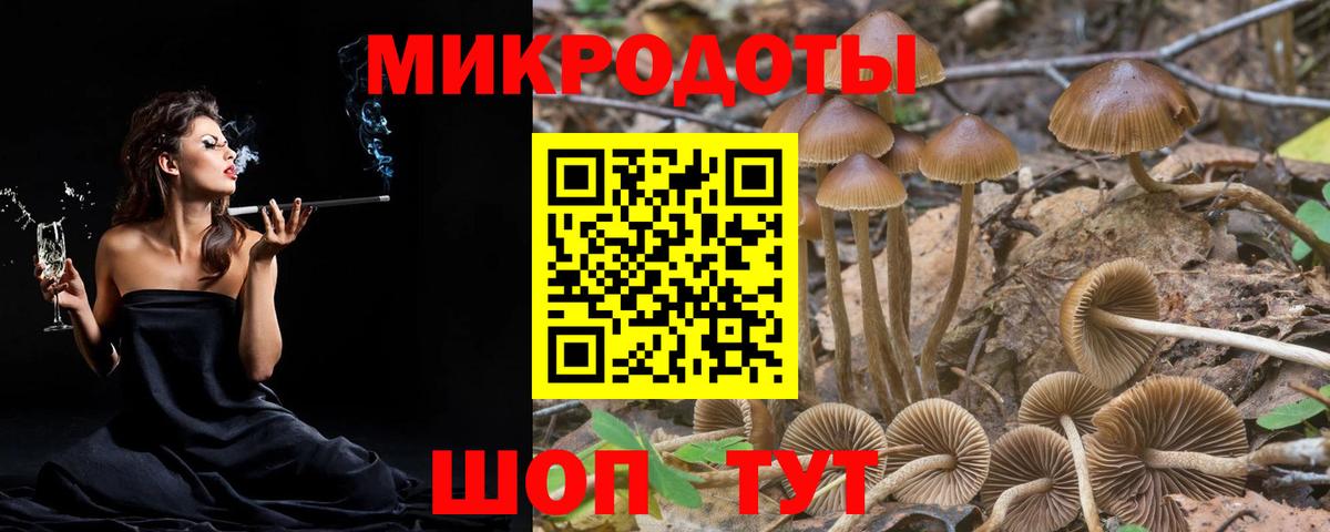 Ступино  Галлюциногенные грибы ЛСД  Вход с VPN 